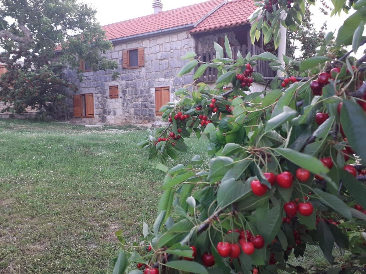 Patakun Villa Lecevica Bagian luar foto